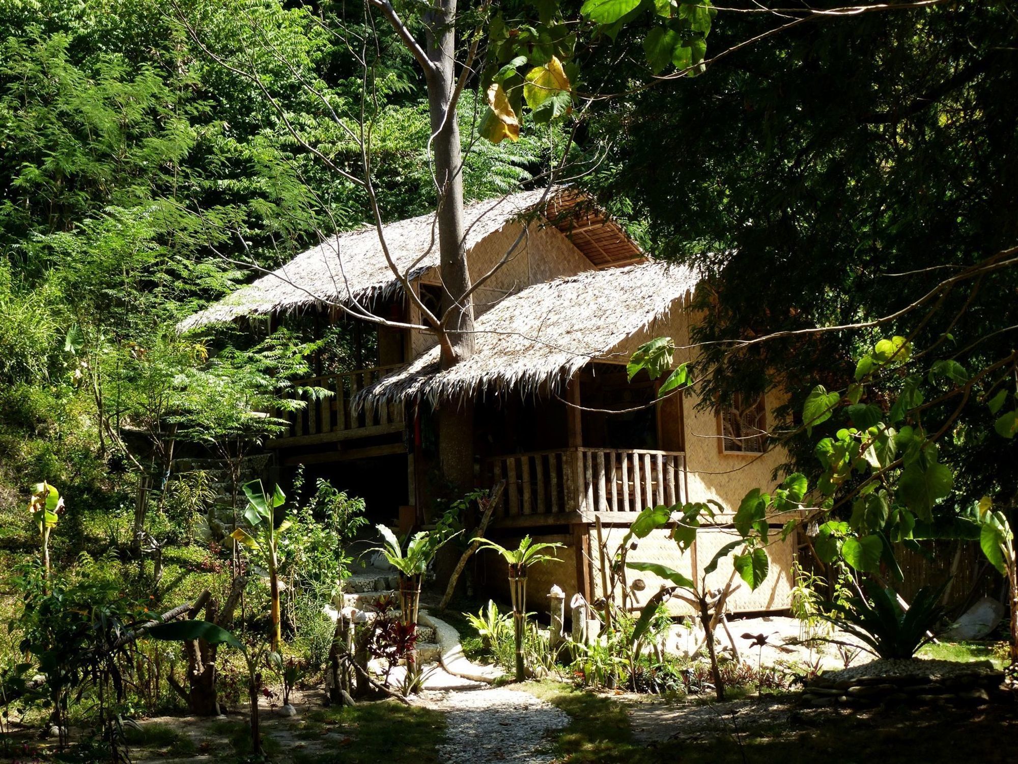 Jungle Beach Resort