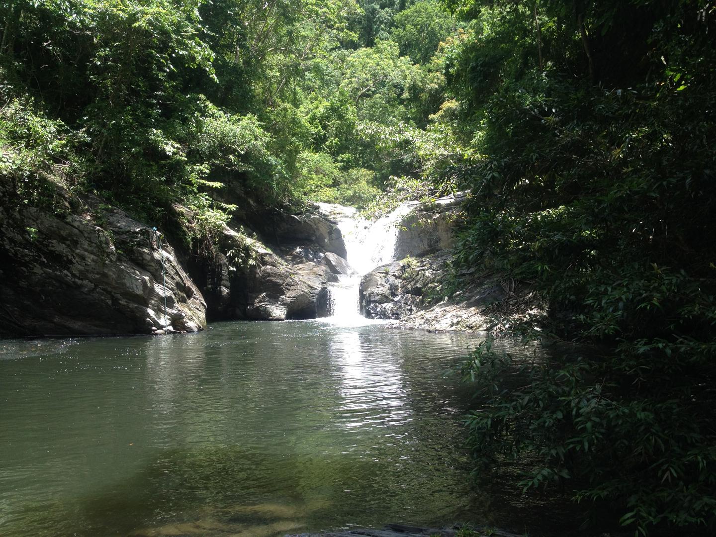 Love and Peace Deep Jungle and River Resort