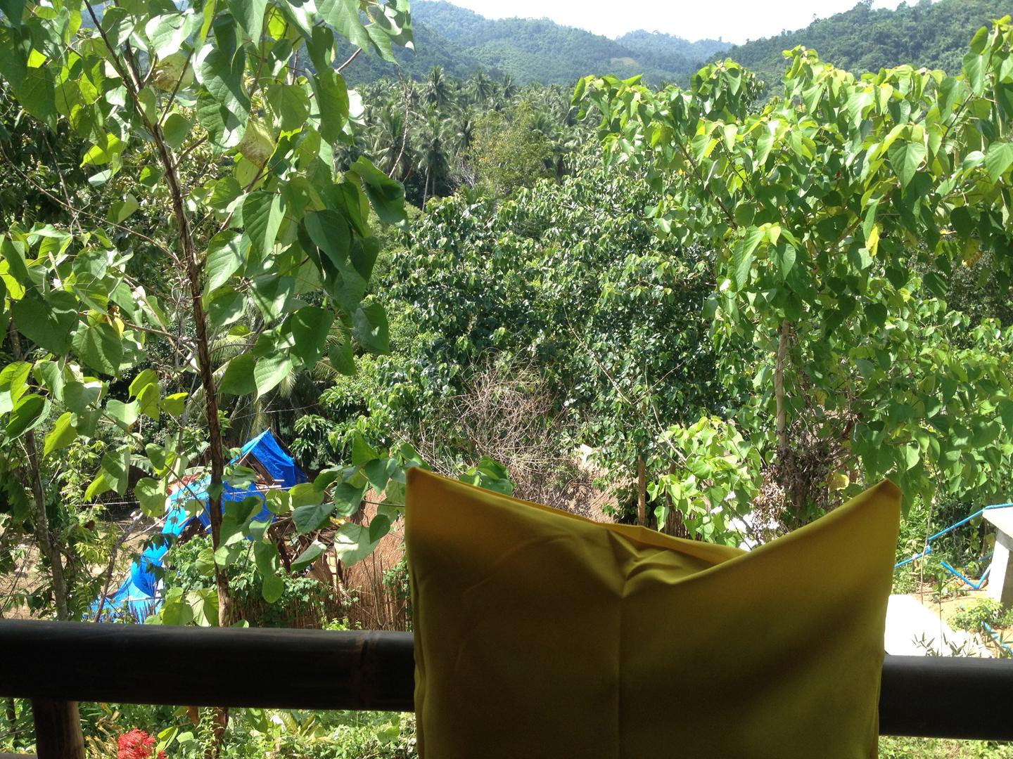 Love and Peace Deep Jungle and River Resort