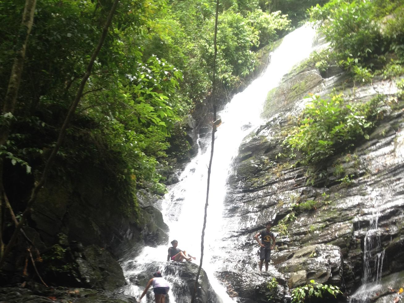 Love and Peace Deep Jungle and River Resort