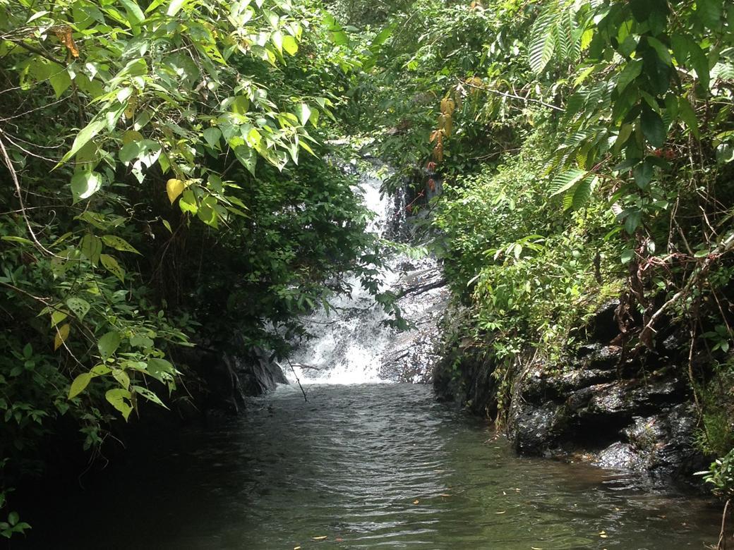 Love and Peace Deep Jungle and River Resort
