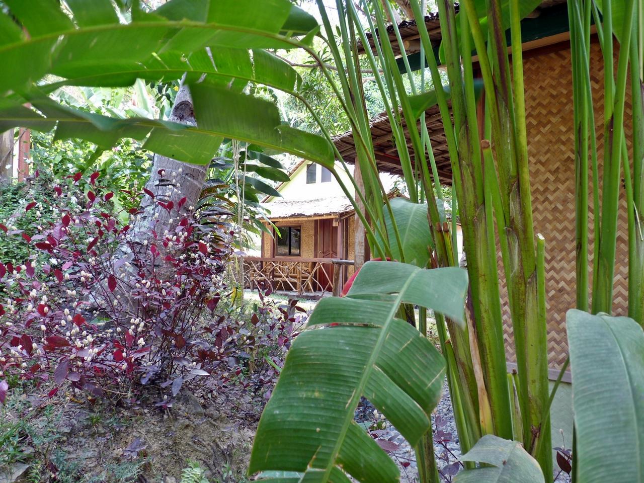 Mangrove Resort