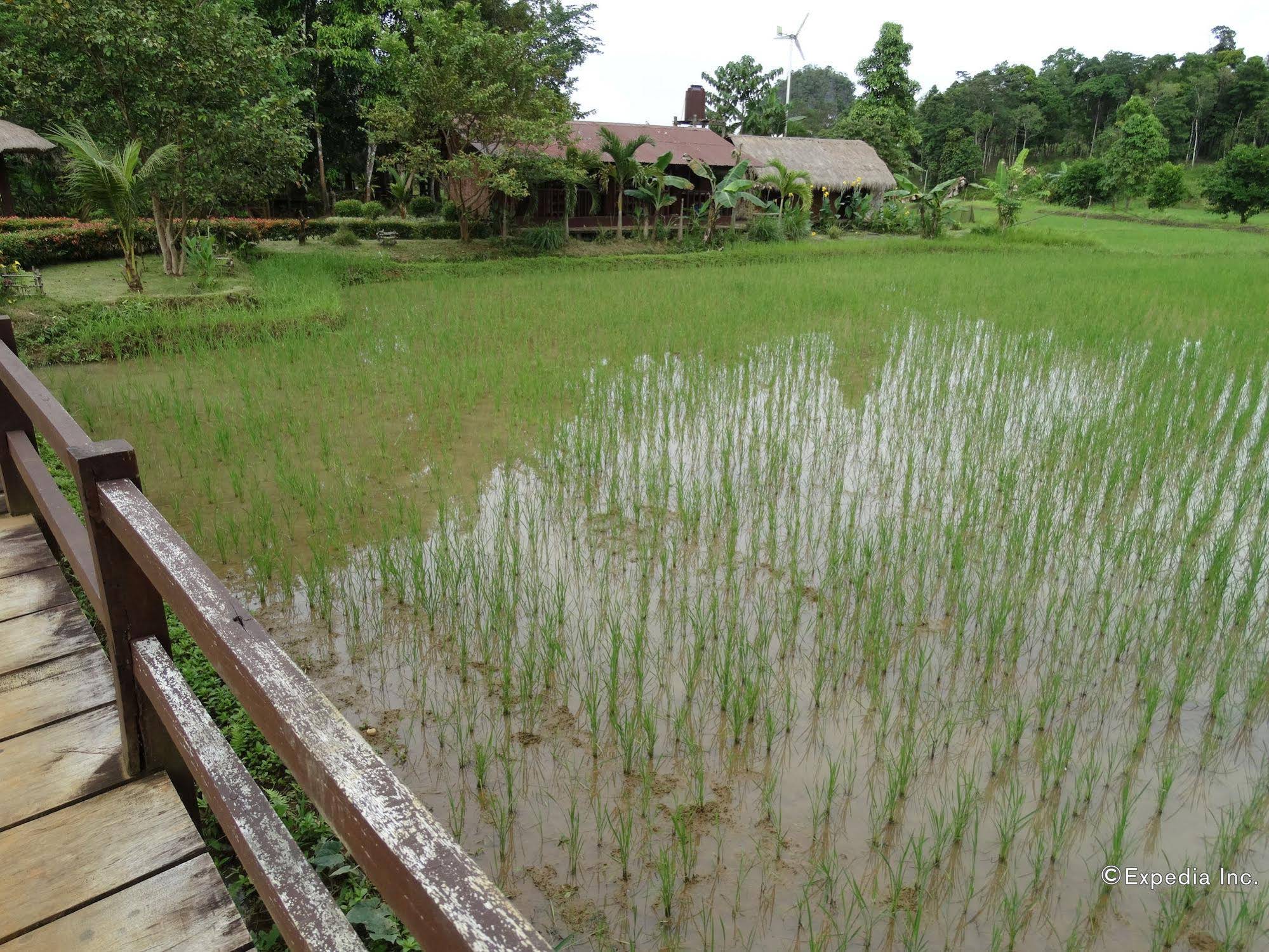Sheridan Organic Farm and Eco Village