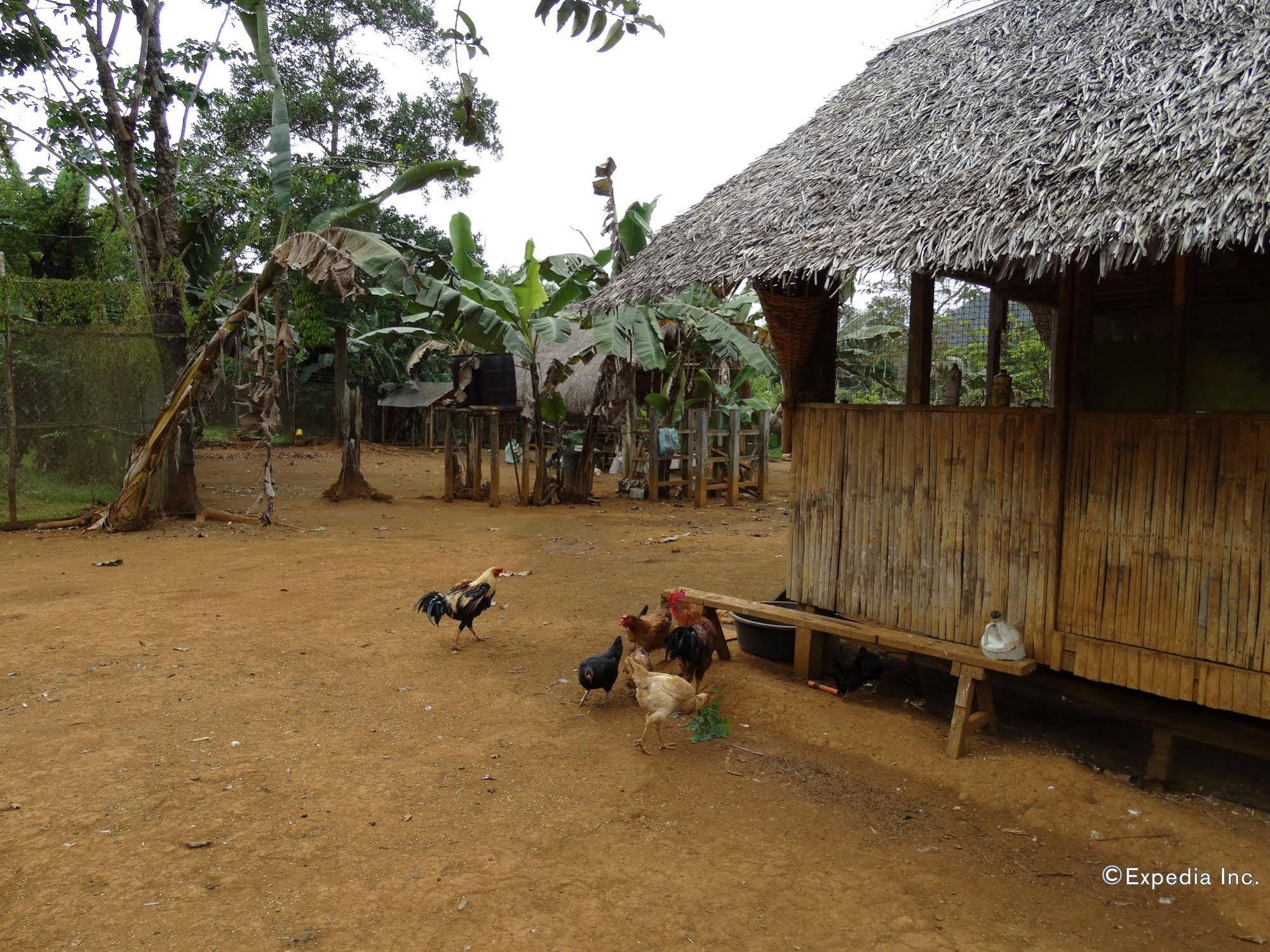 Sheridan Organic Farm and Eco Village