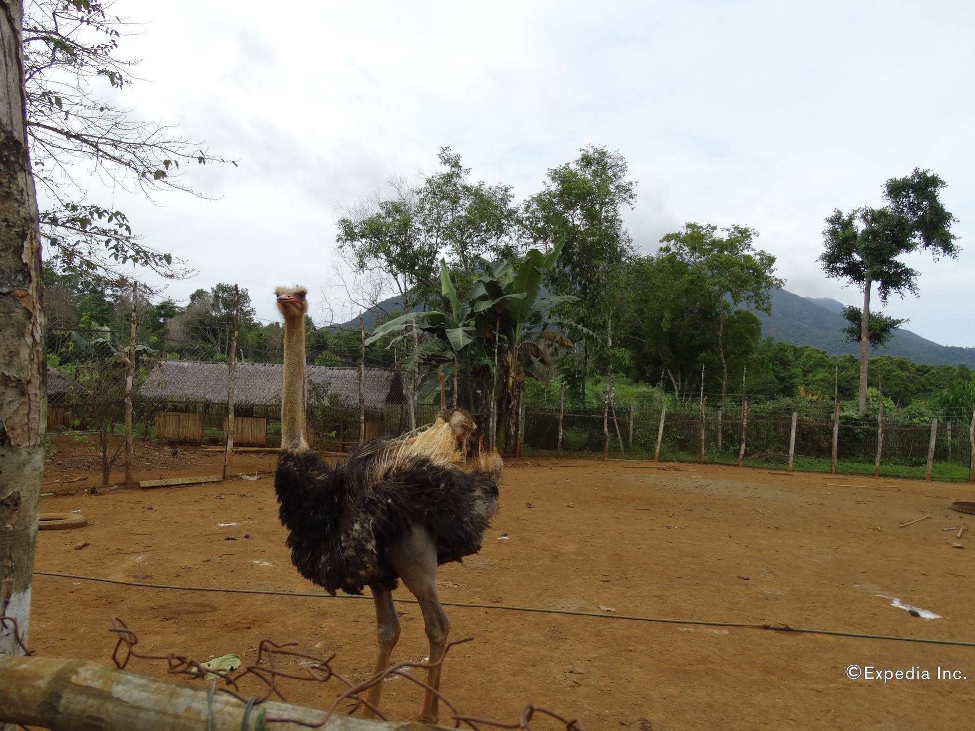 Sheridan Organic Farm and Eco Village