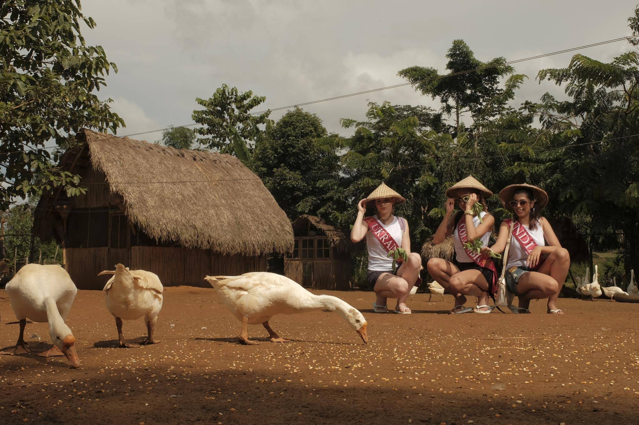 Sheridan Organic Farm and Eco Village