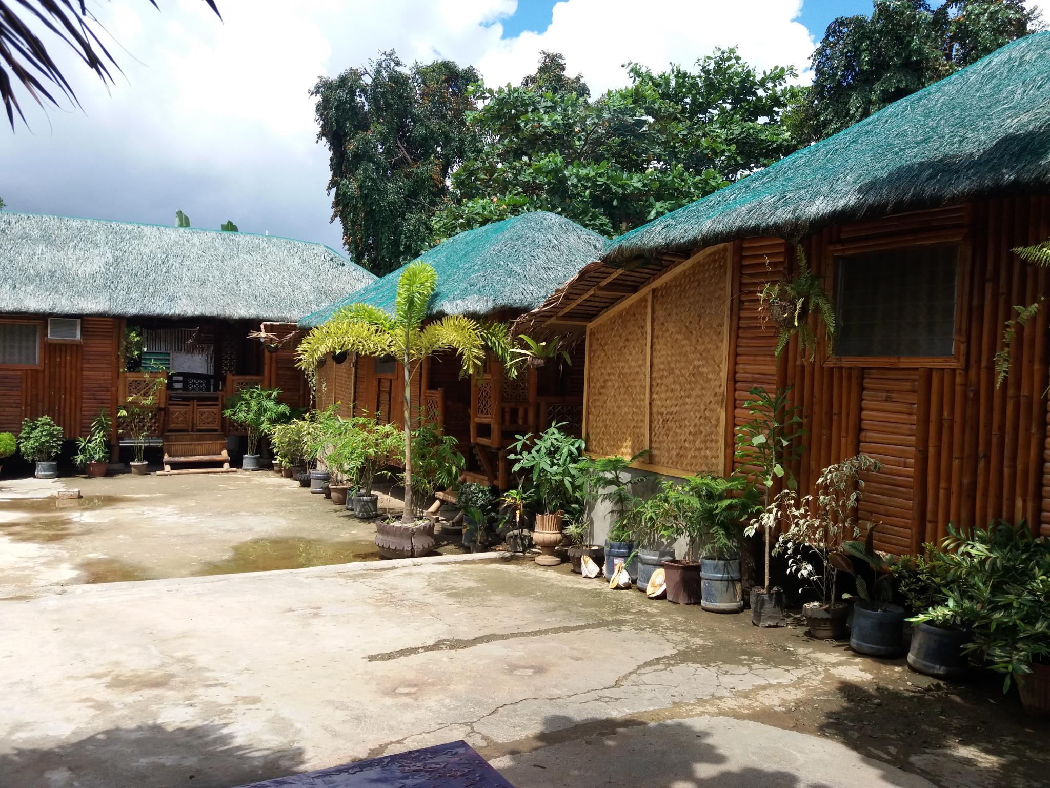 Voi Vlu's Place