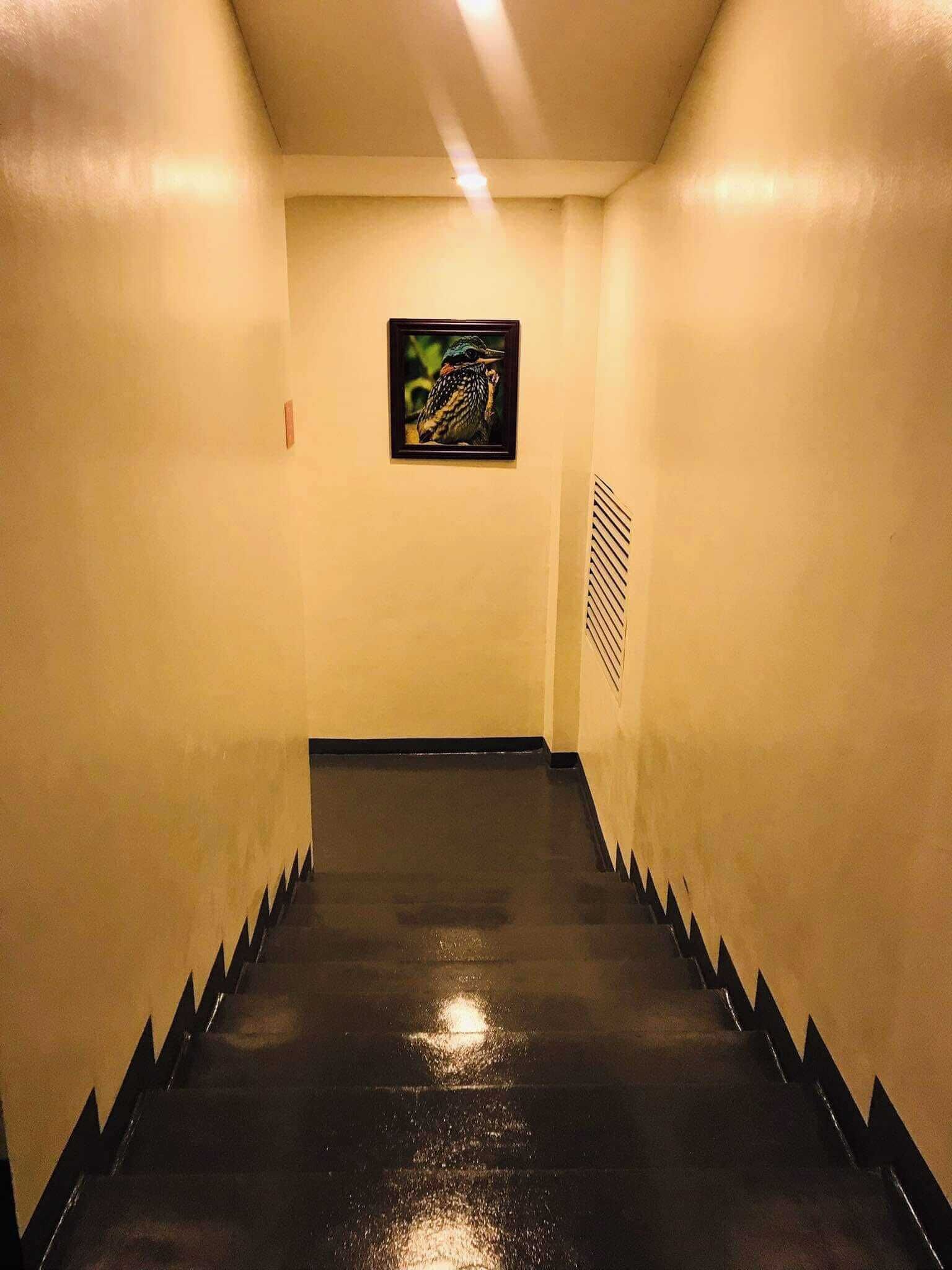 Nest Hotel at Nest Suites