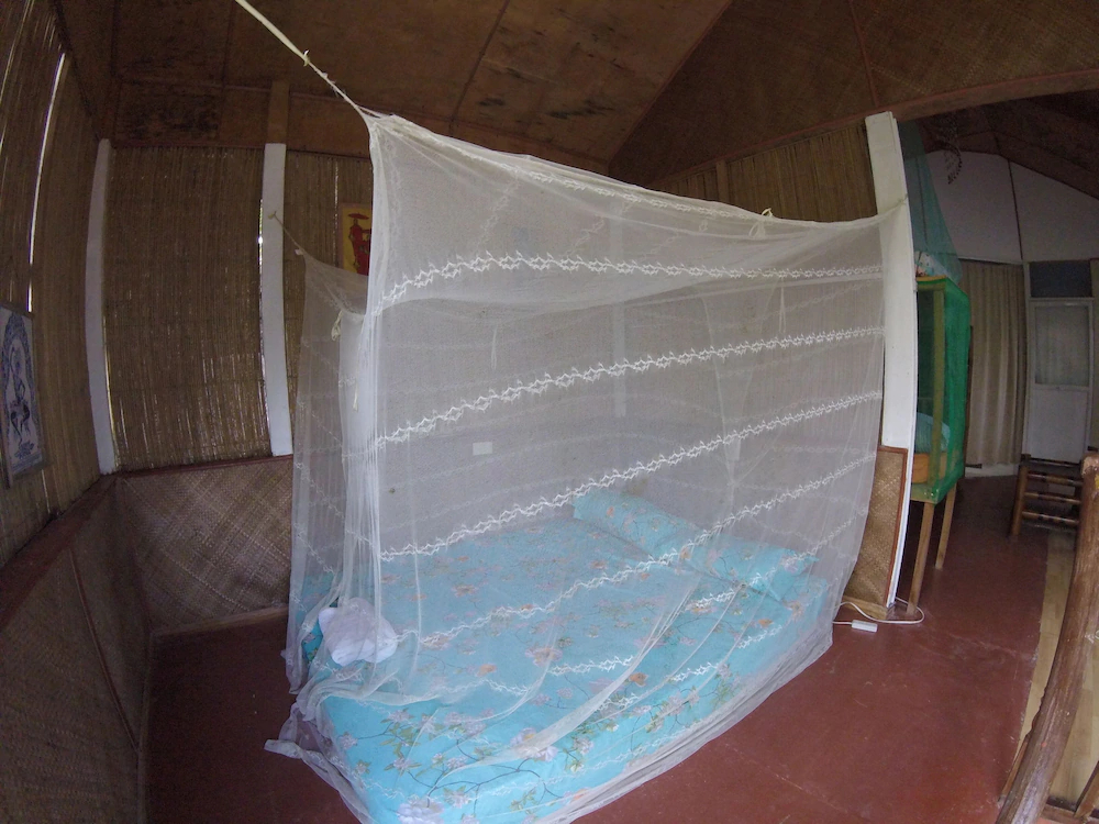 Carabao Backpackers & Guest House