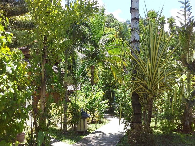 Hof Gorei Beach Resort