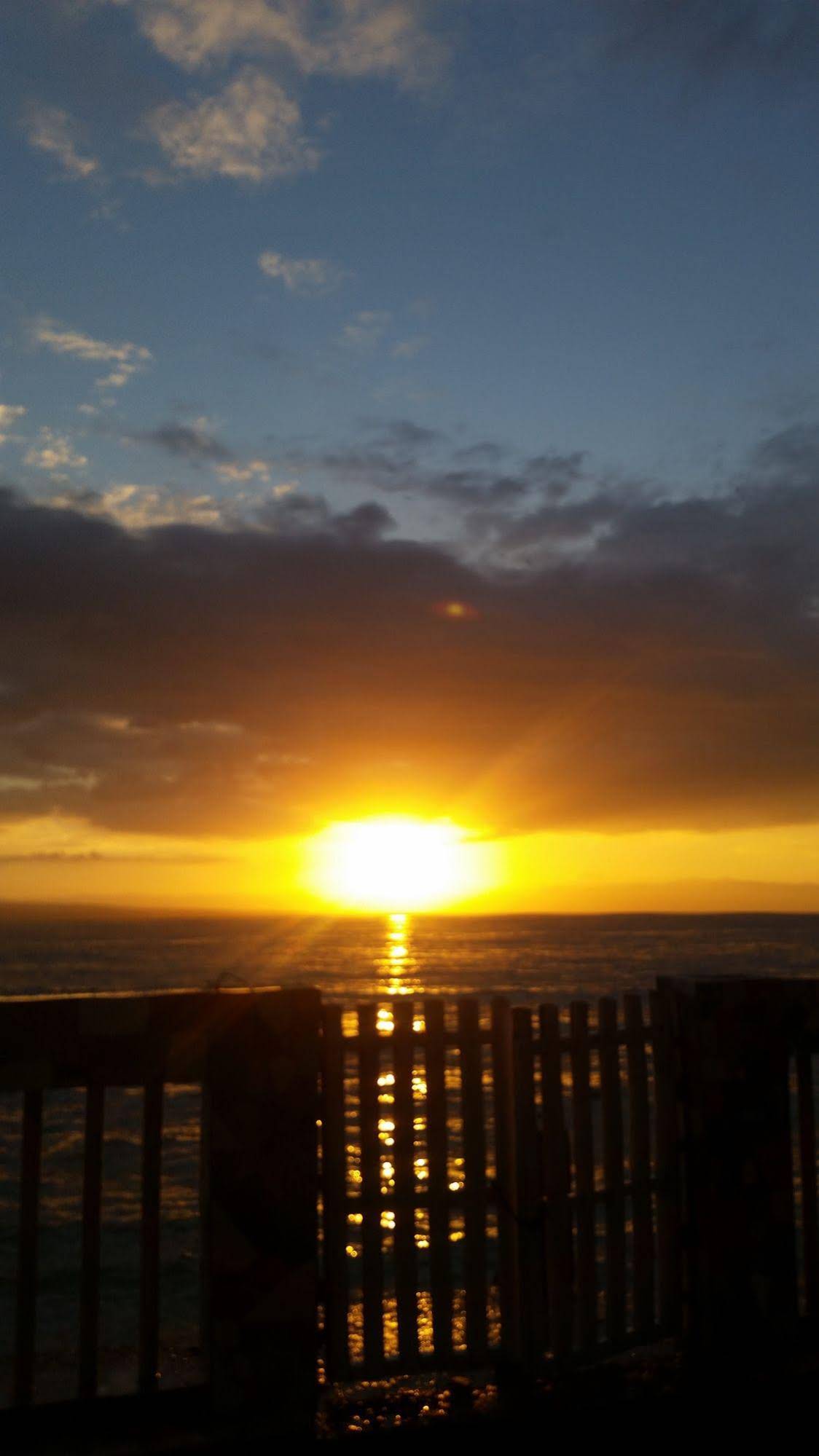 MDF Beach Resort And Day Tours