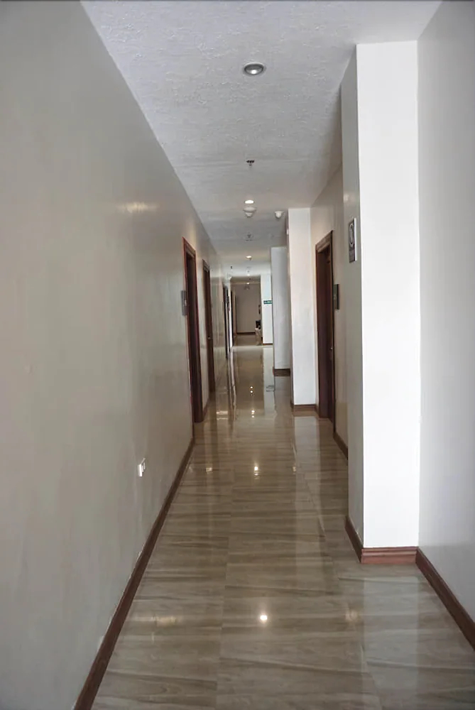 Palau Hotel