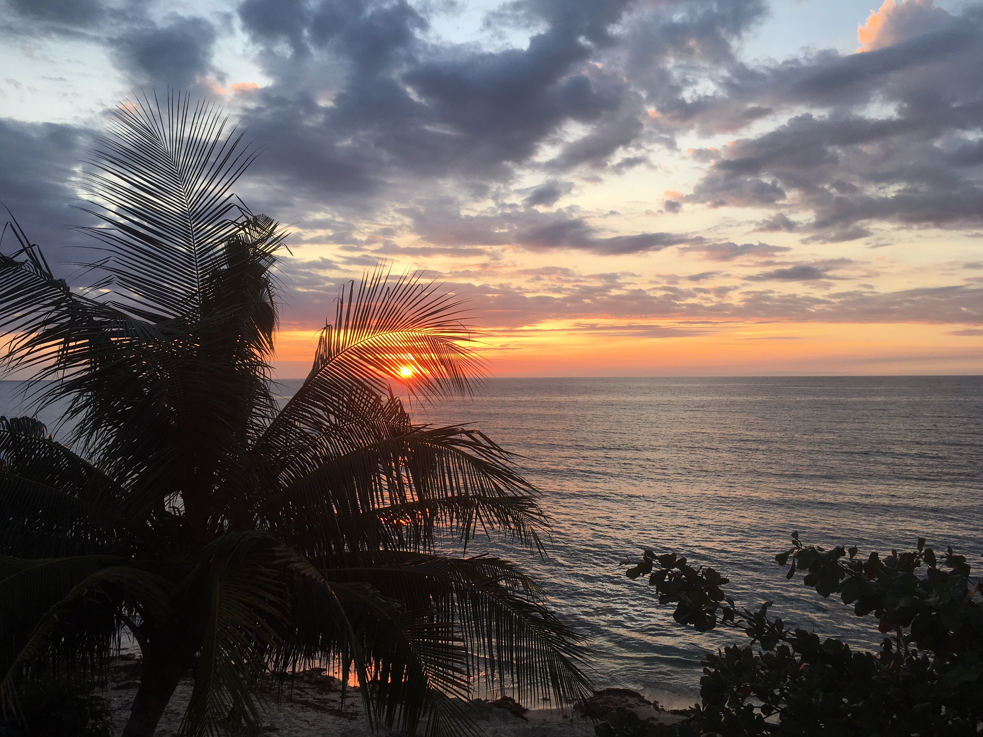 The Blue Marlin Resort