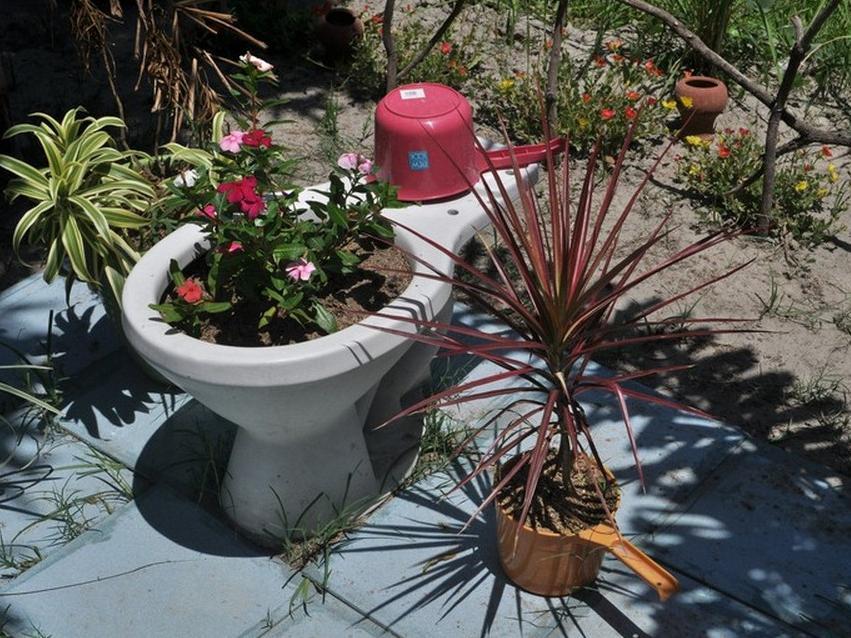 Armandos Wellness Resort