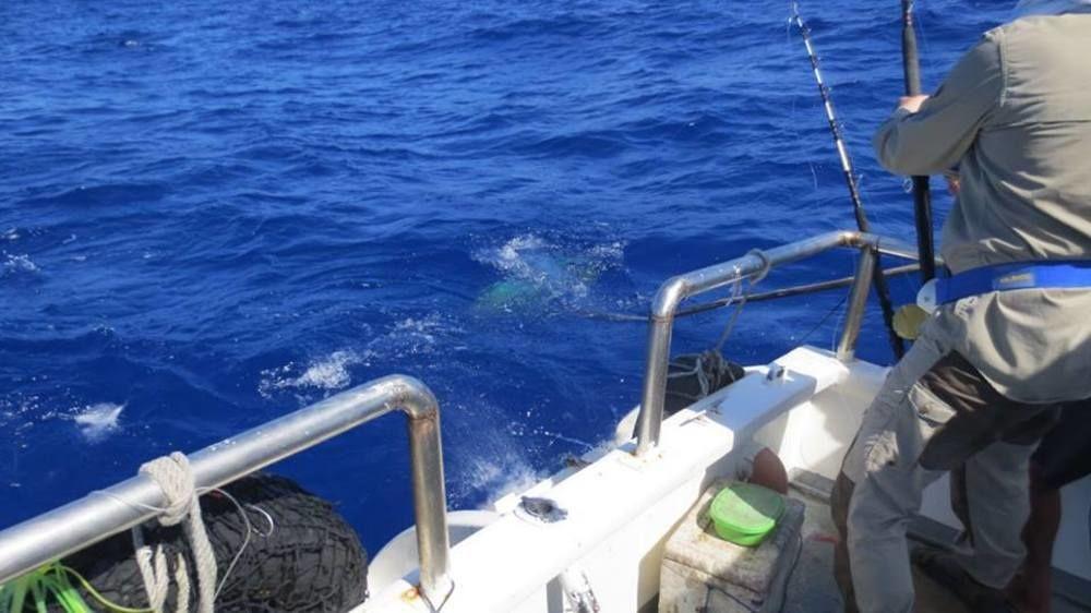 Sailfish Bay Surf & Big Game Fishing Lodge