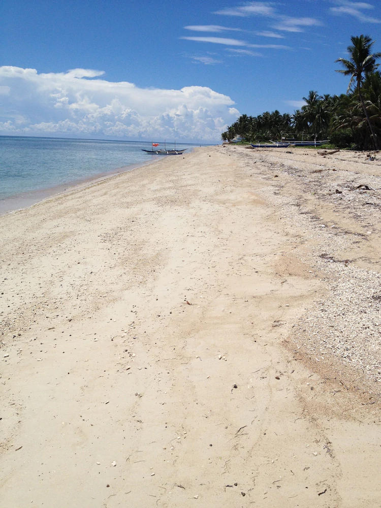 The Beach House Carabao Island