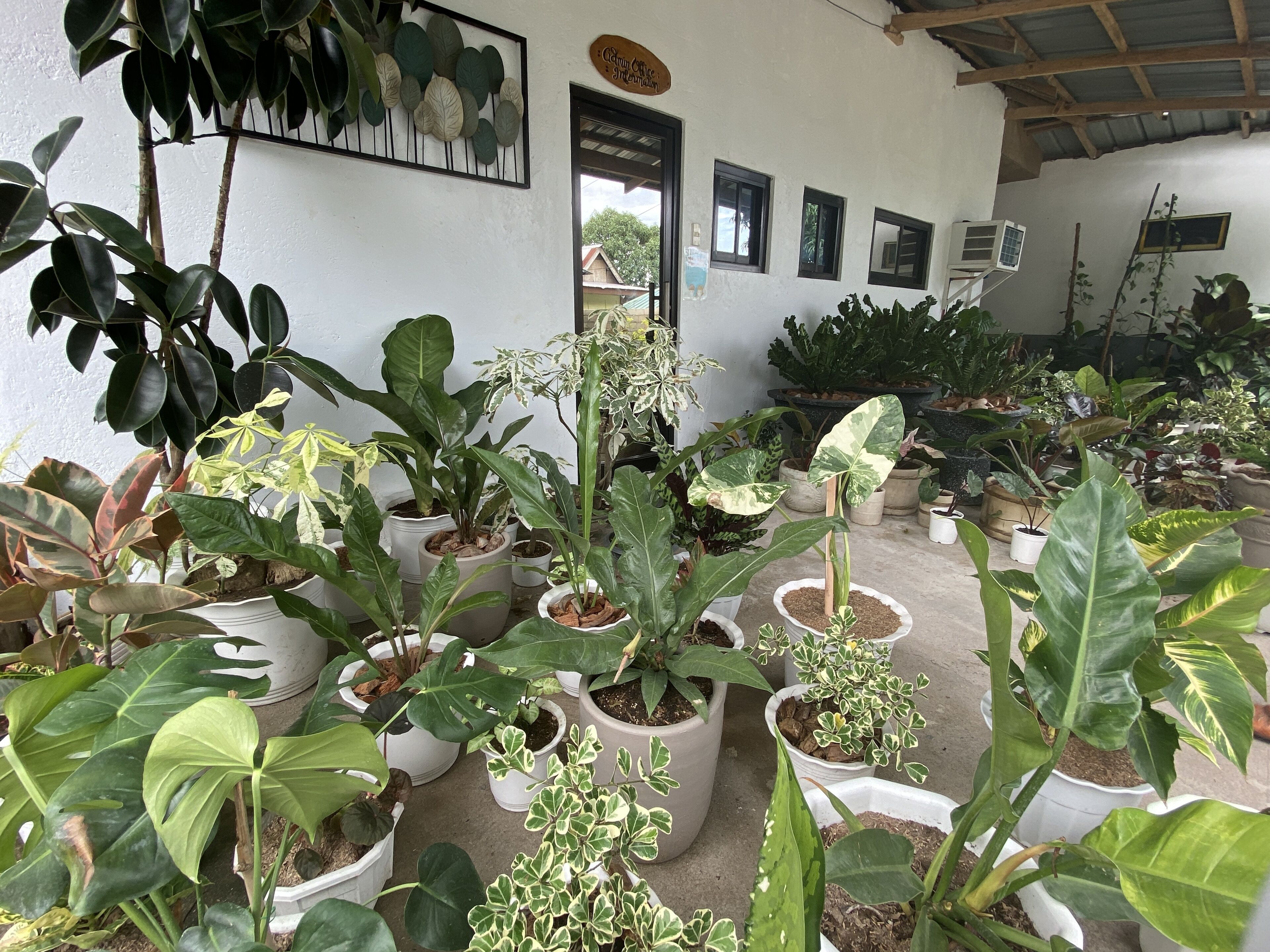 Severina’s Garden Resort