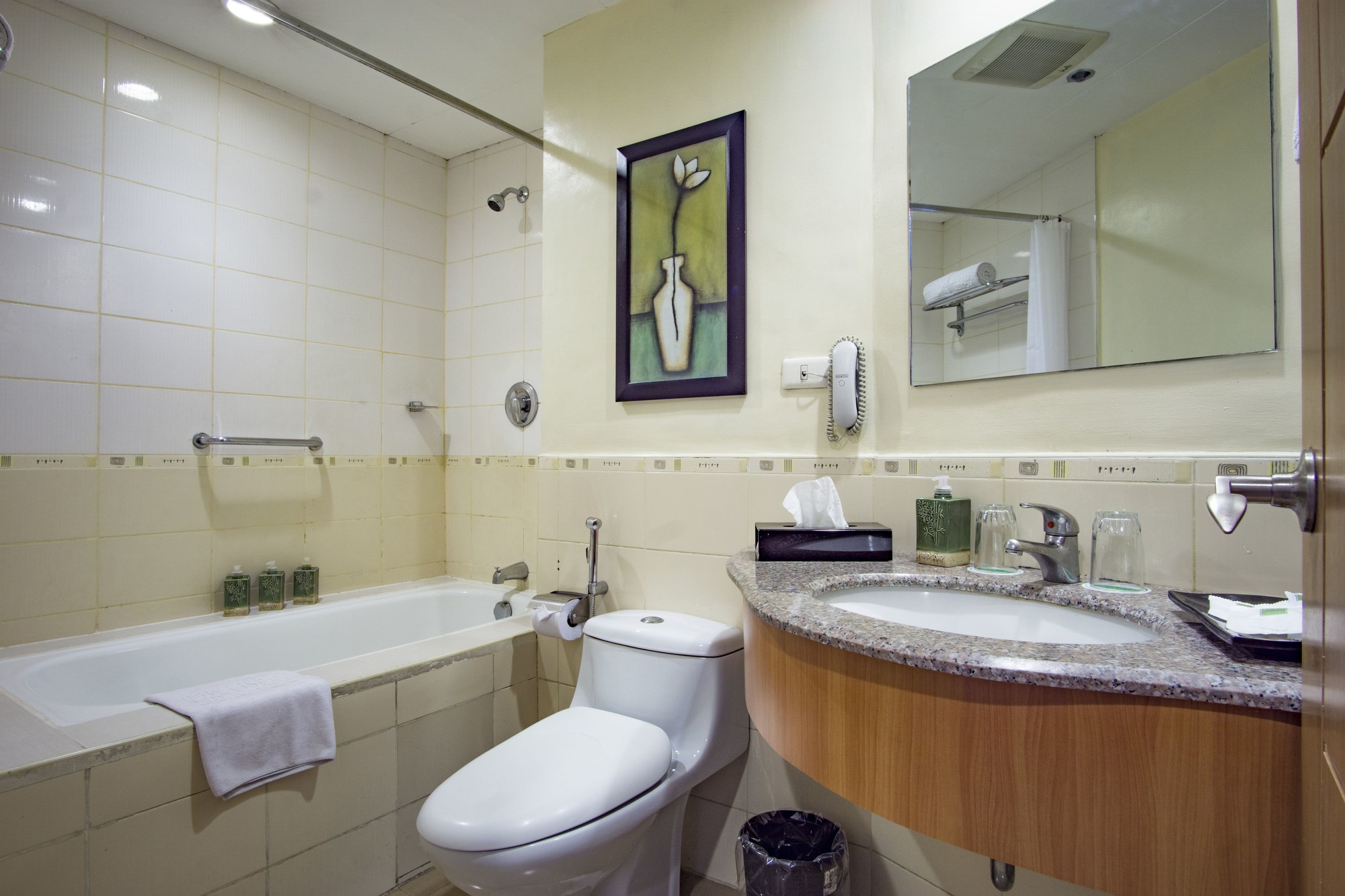 Greenhills Elan Modern