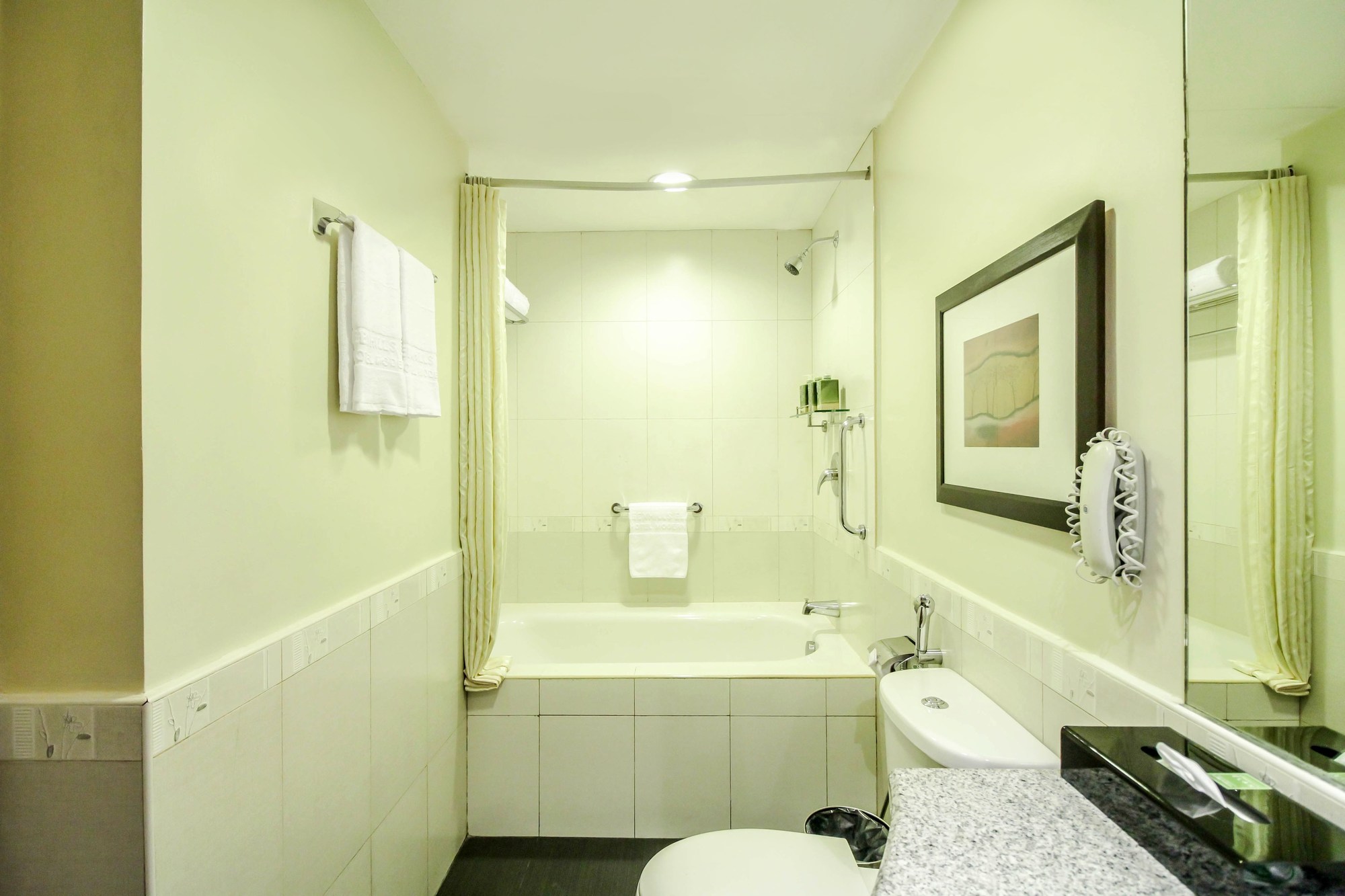 Greenhills Elan Modern