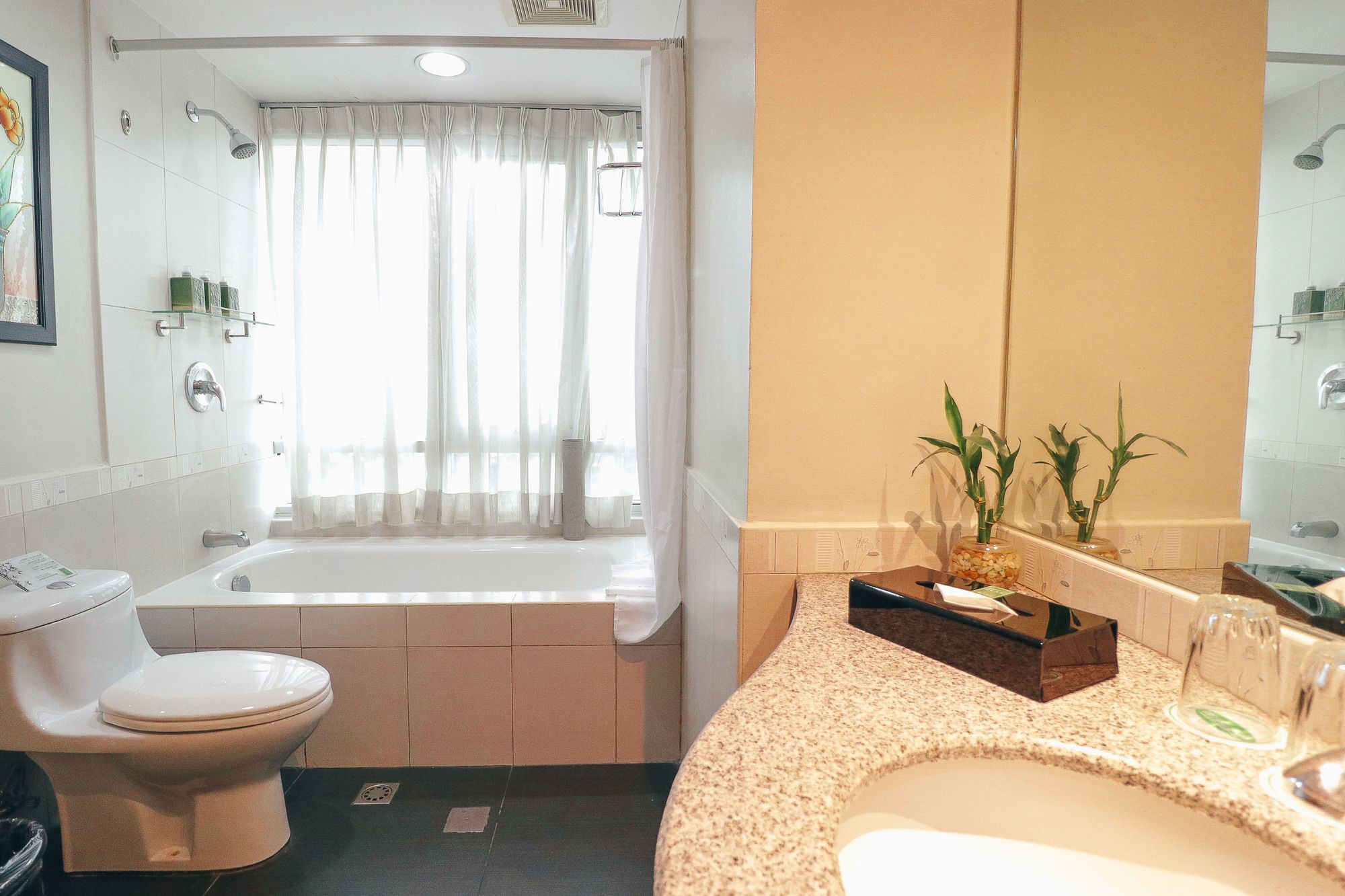 Greenhills Elan Modern