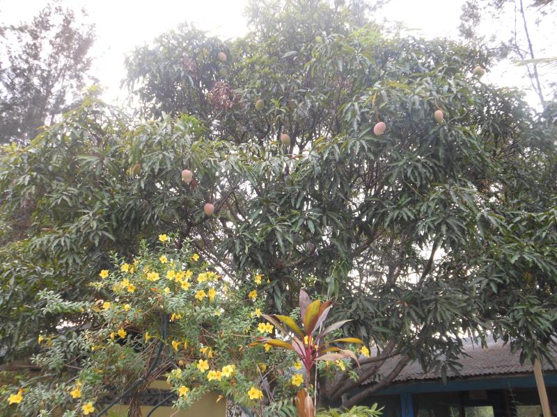 Sabina Beach Resort