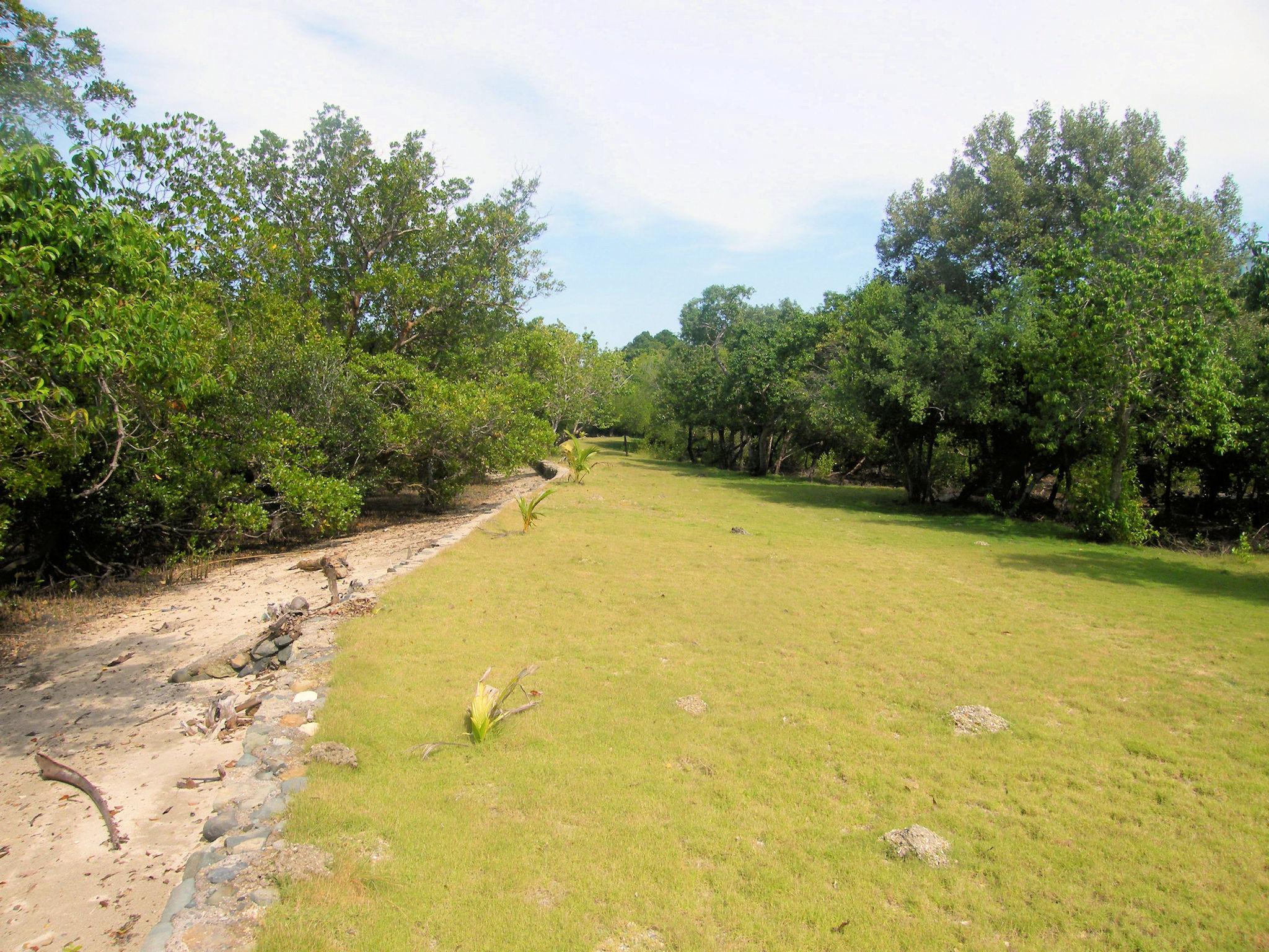Morel's Private Island