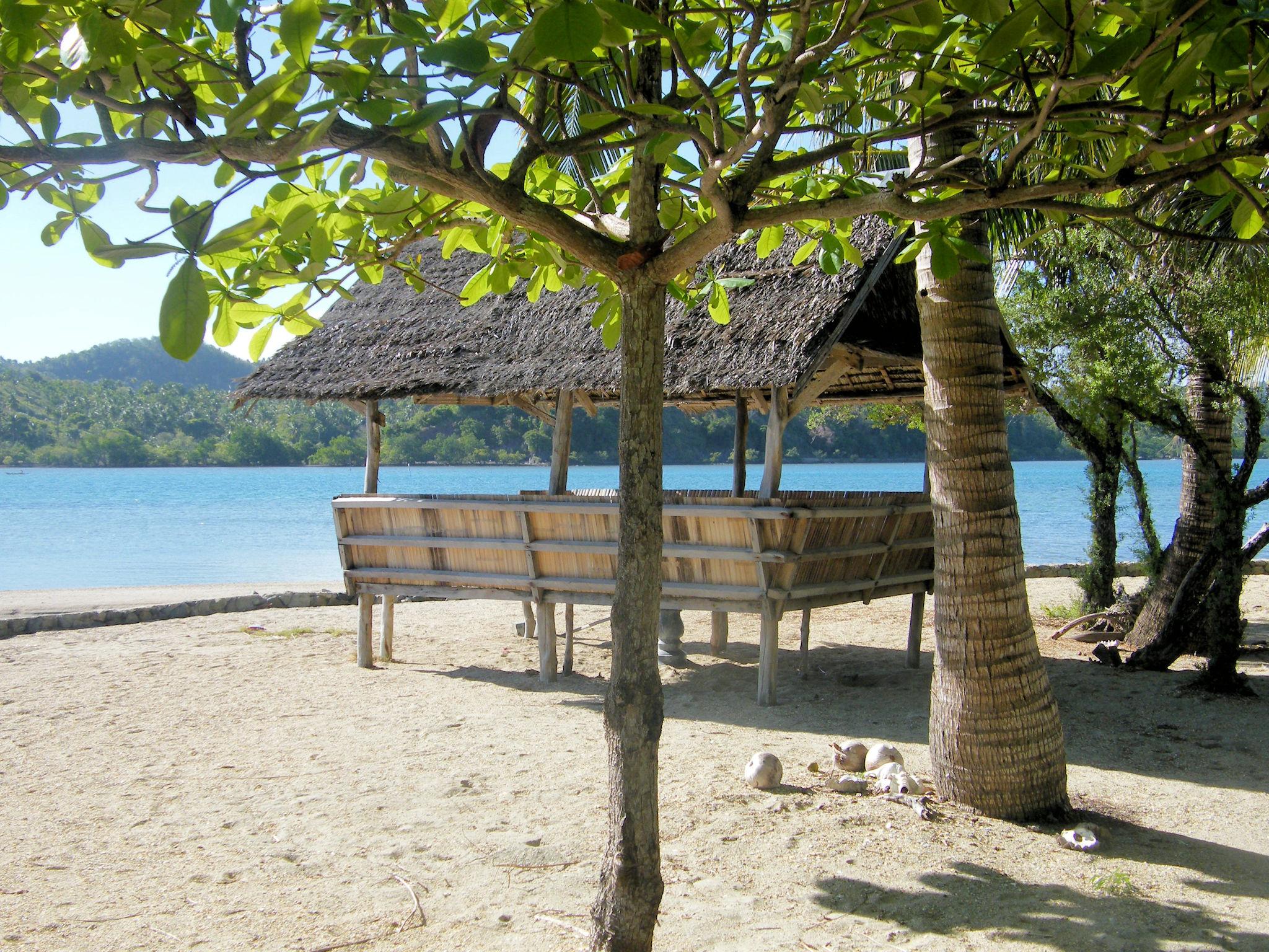 Morel's Private Island