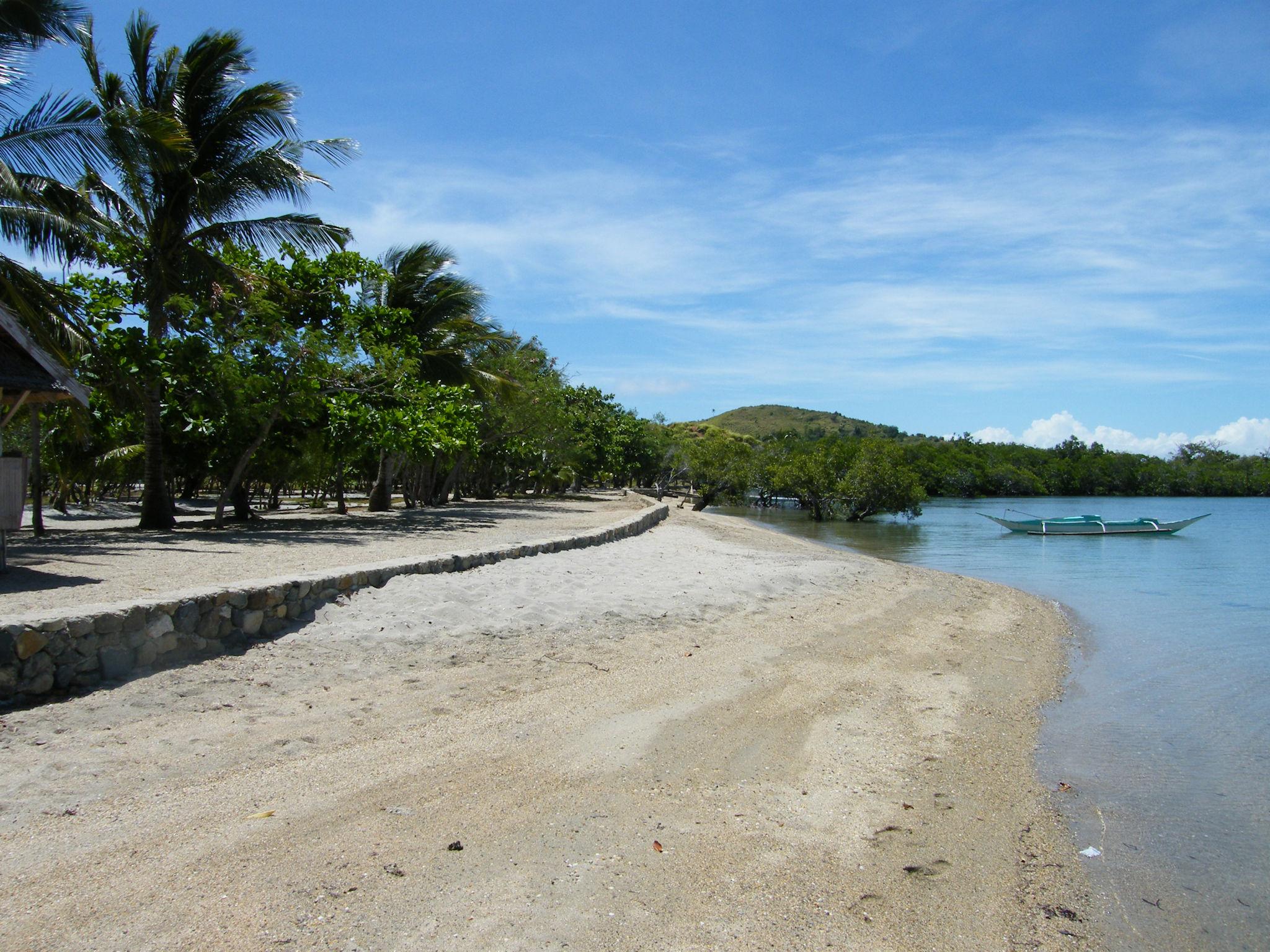 Morel's Private Island