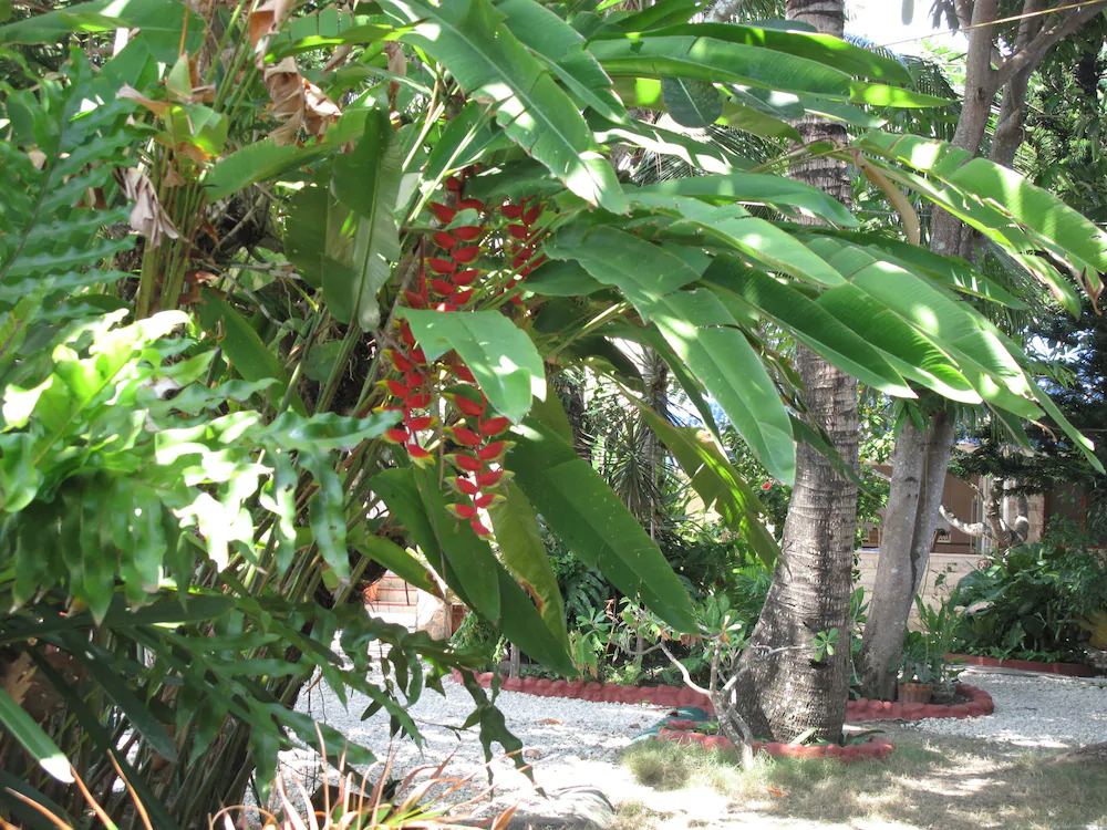 Bamboo Paradise Beach Resort