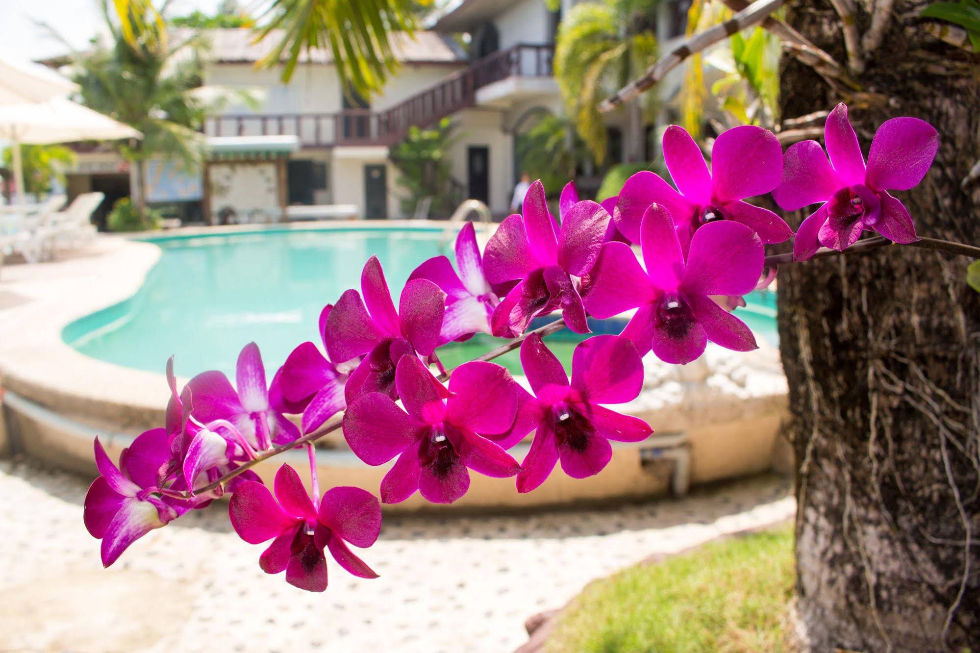 Noblesse Resort