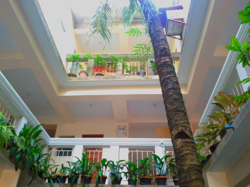 D Islander Ville Pension Hauz