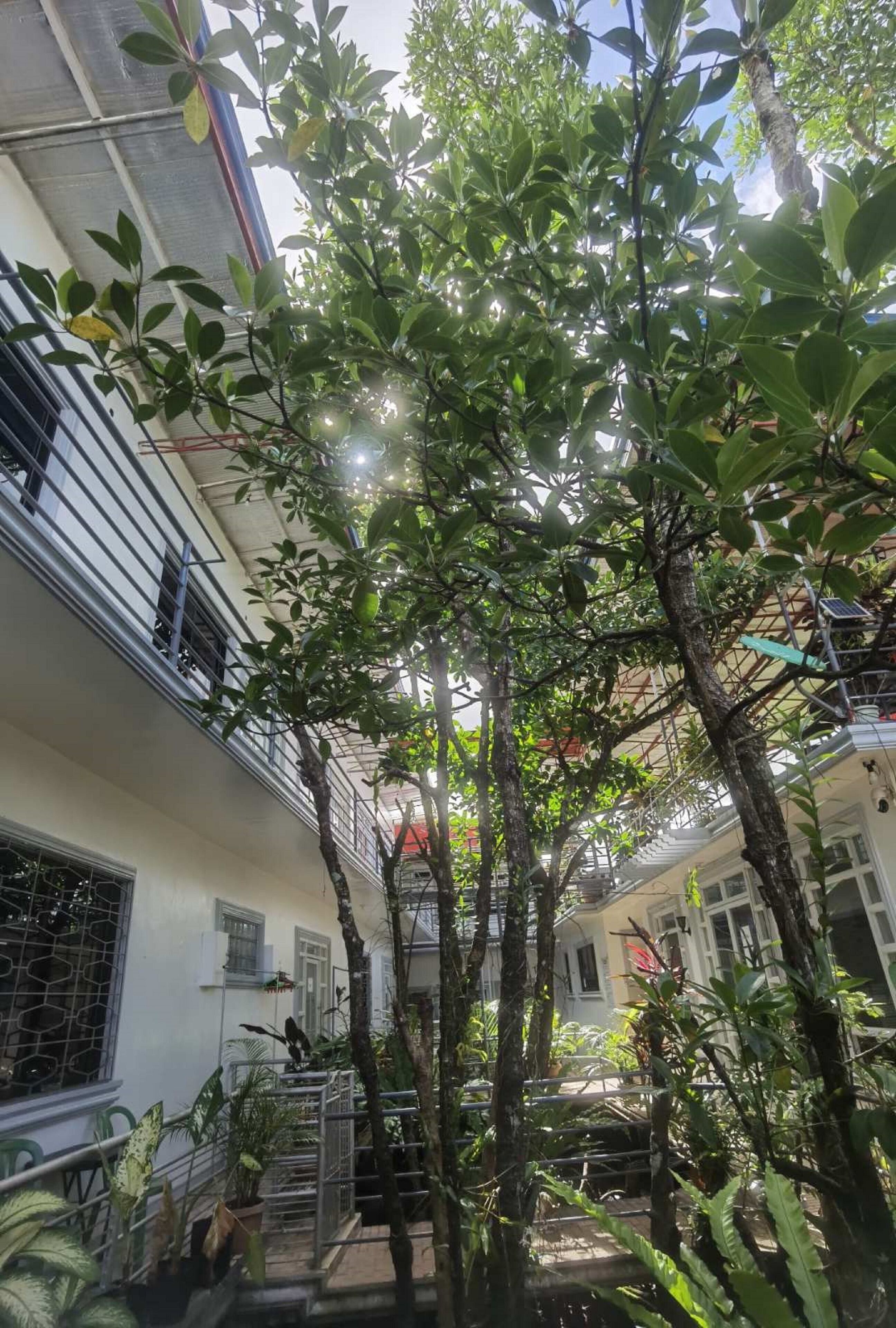 RedDoorz @ Lao Singuan Homestay