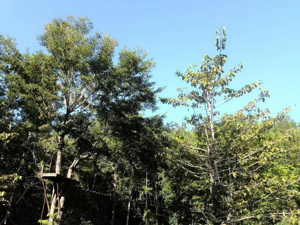 Camp Alfredo Adventure Resort
