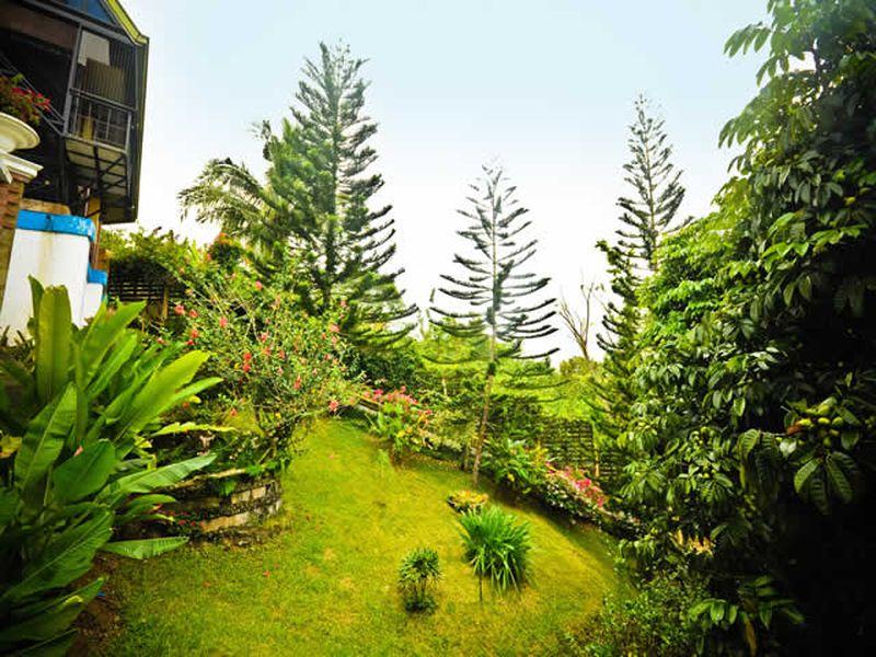 Banio Kreek Farms