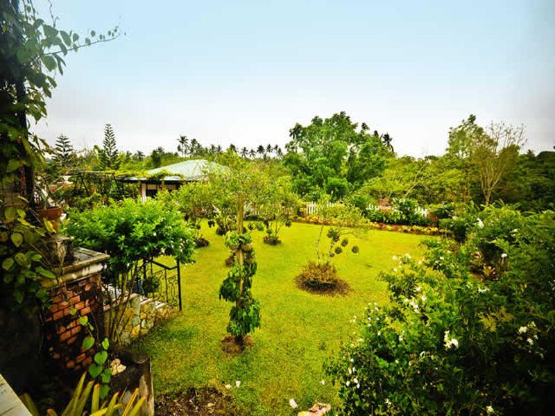 Banio Kreek Farms