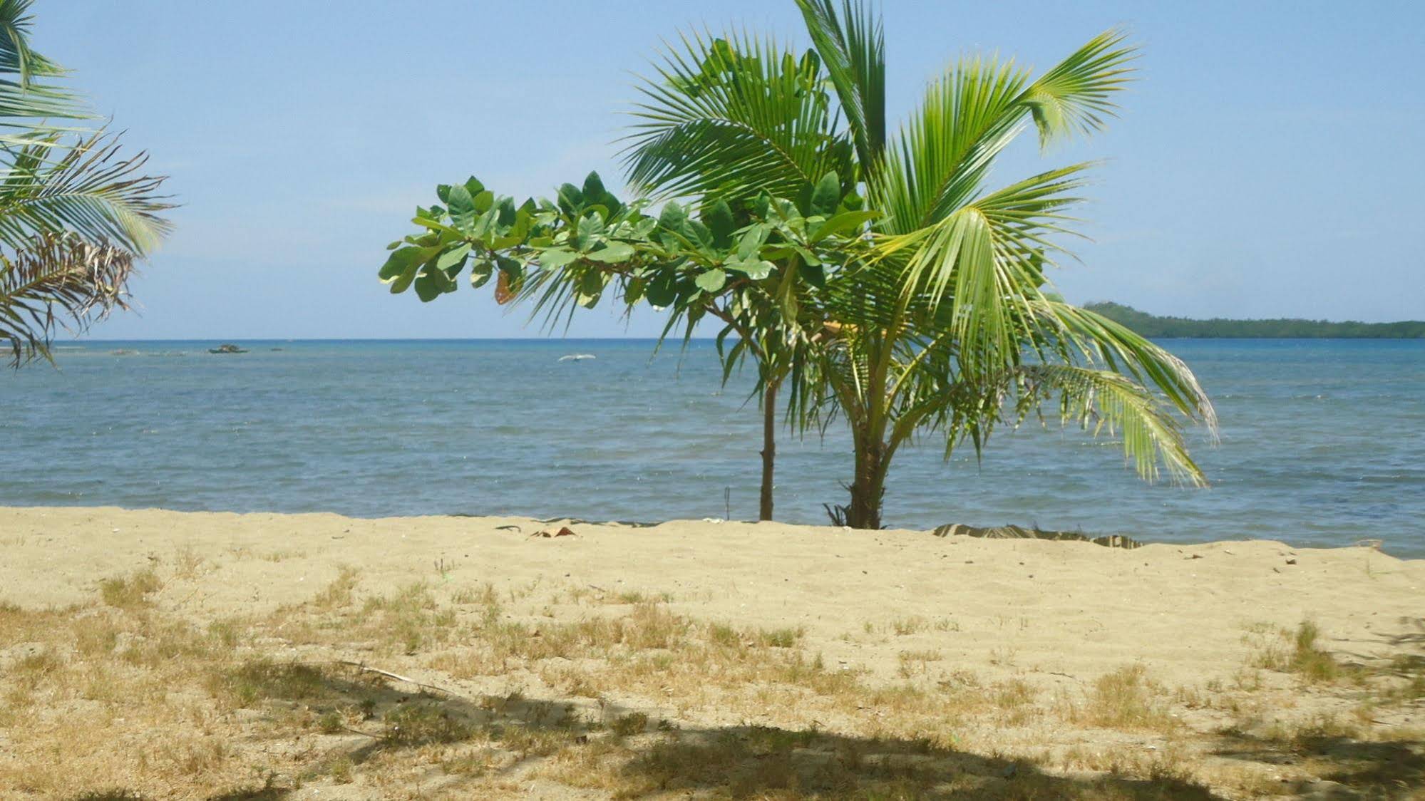 Melrose Beach Resort