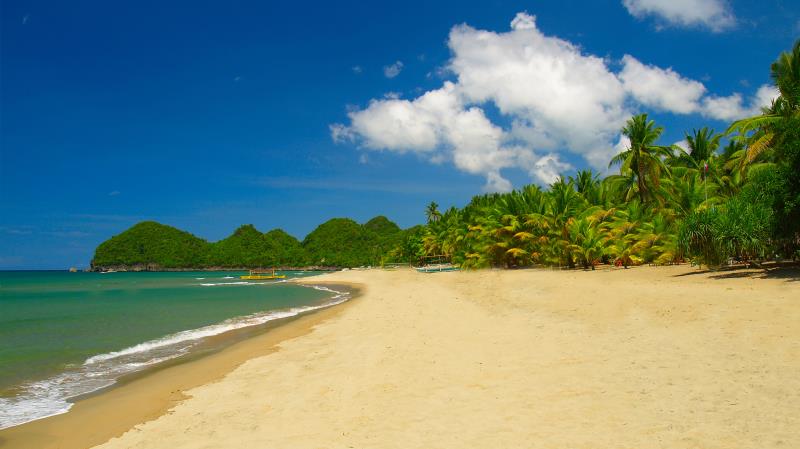 Takatuka Lodge - Beach and Dive Resort