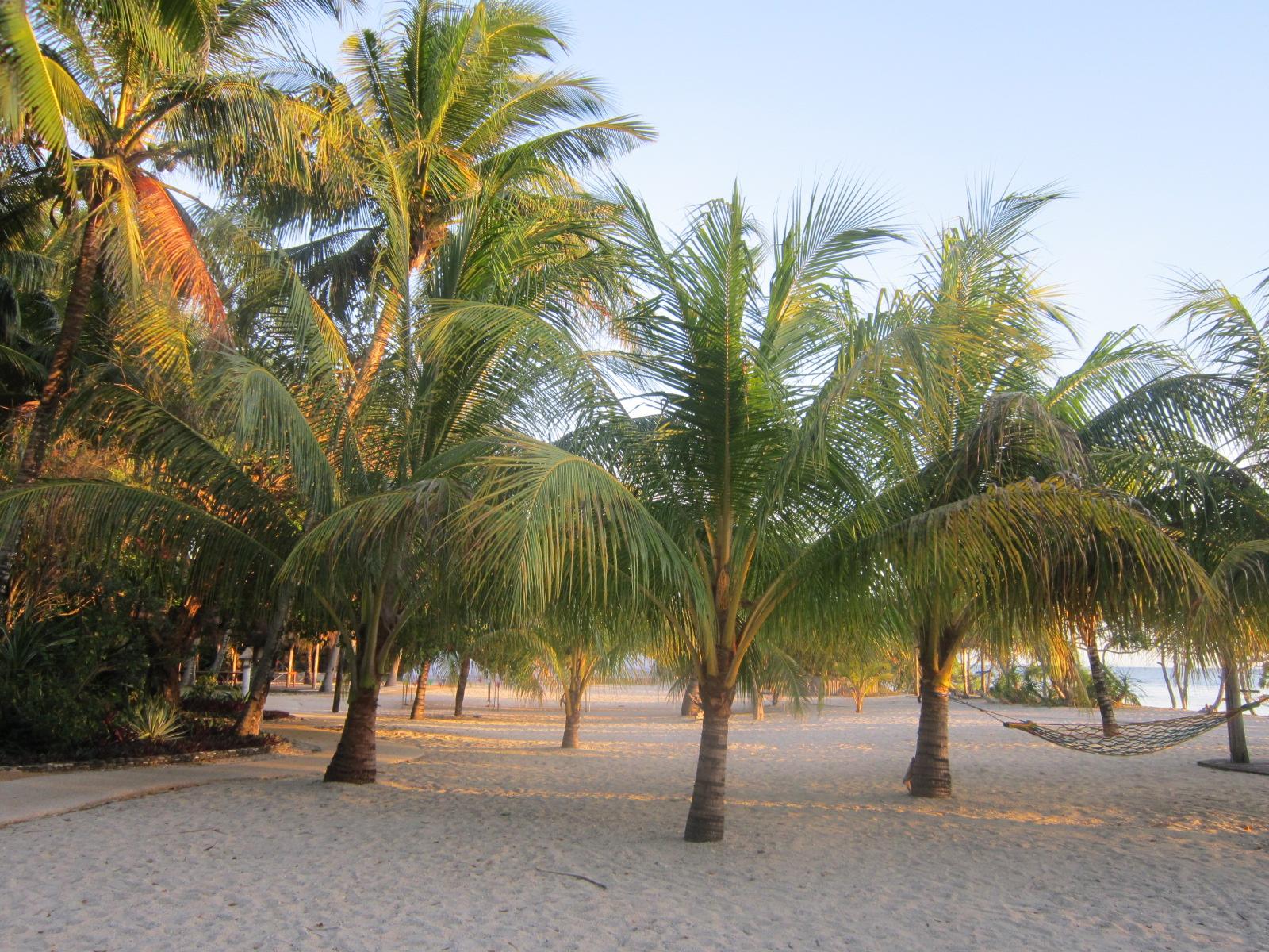 Coco Grove Beach Resort