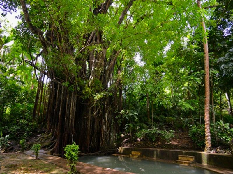 Kalachuchi Beach Resort