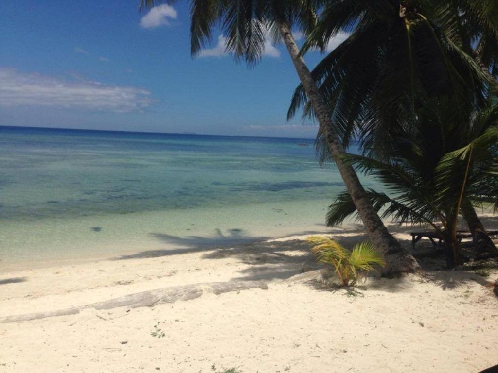 Palm Village Guesthouse