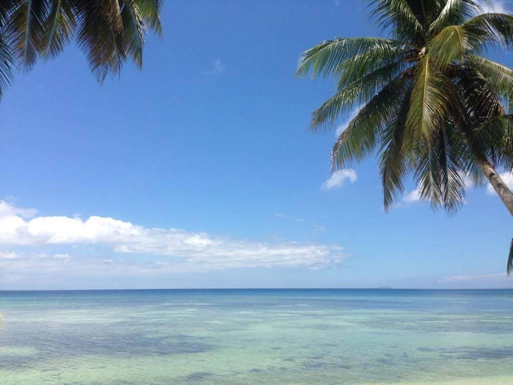 Palm Village Guesthouse