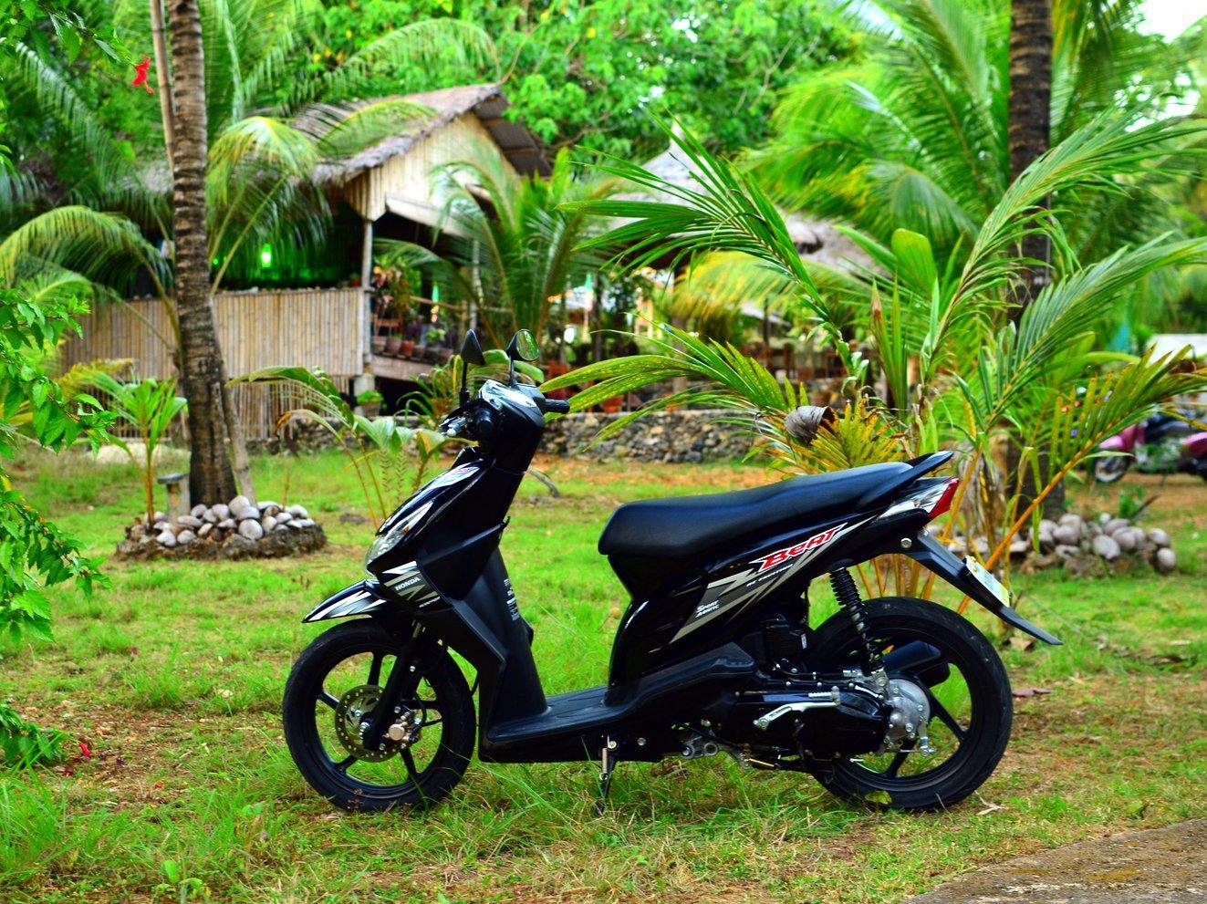 Toris Backpackers Paradise