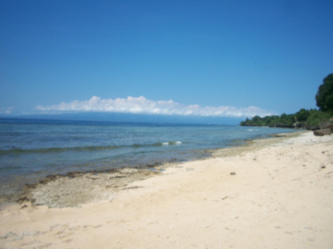 Toris Backpackers Paradise