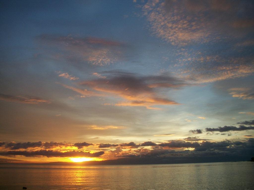 Toris Backpackers Paradise