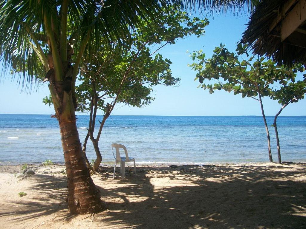 Toris Backpackers Paradise