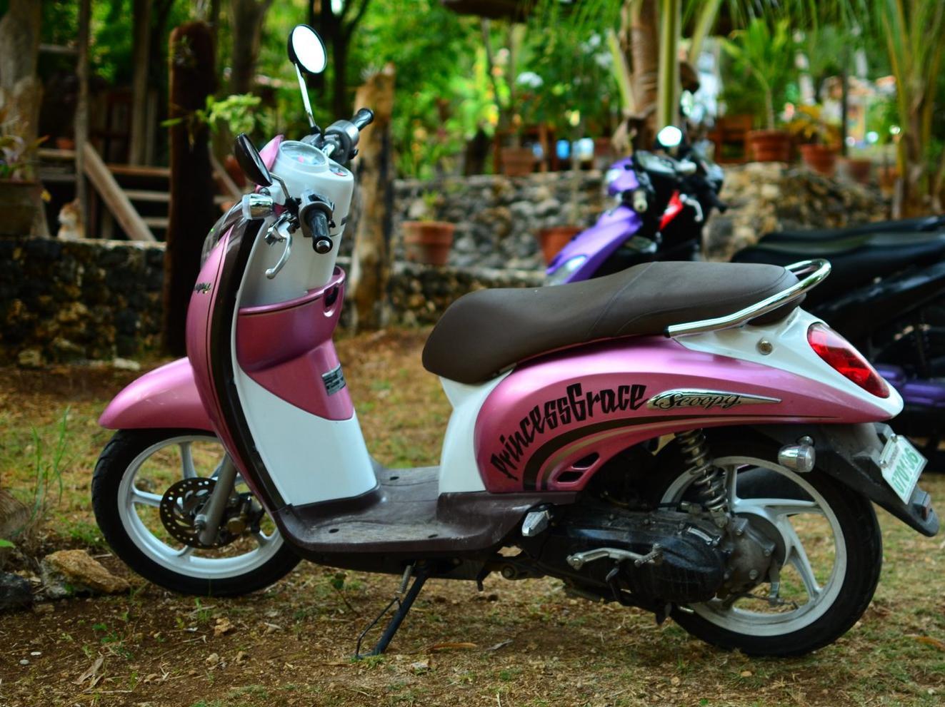 Toris Backpackers Paradise