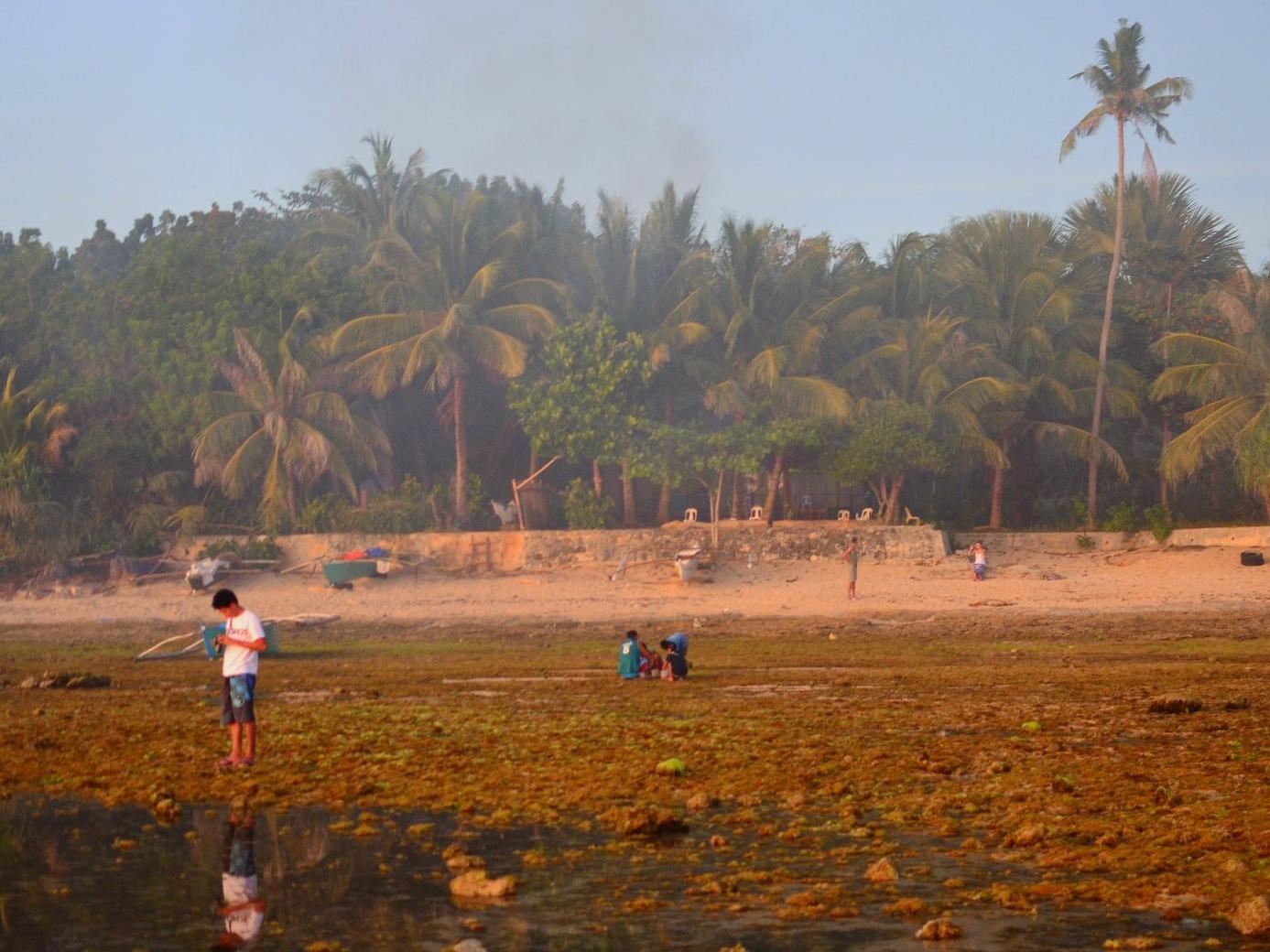 Toris Backpackers Paradise