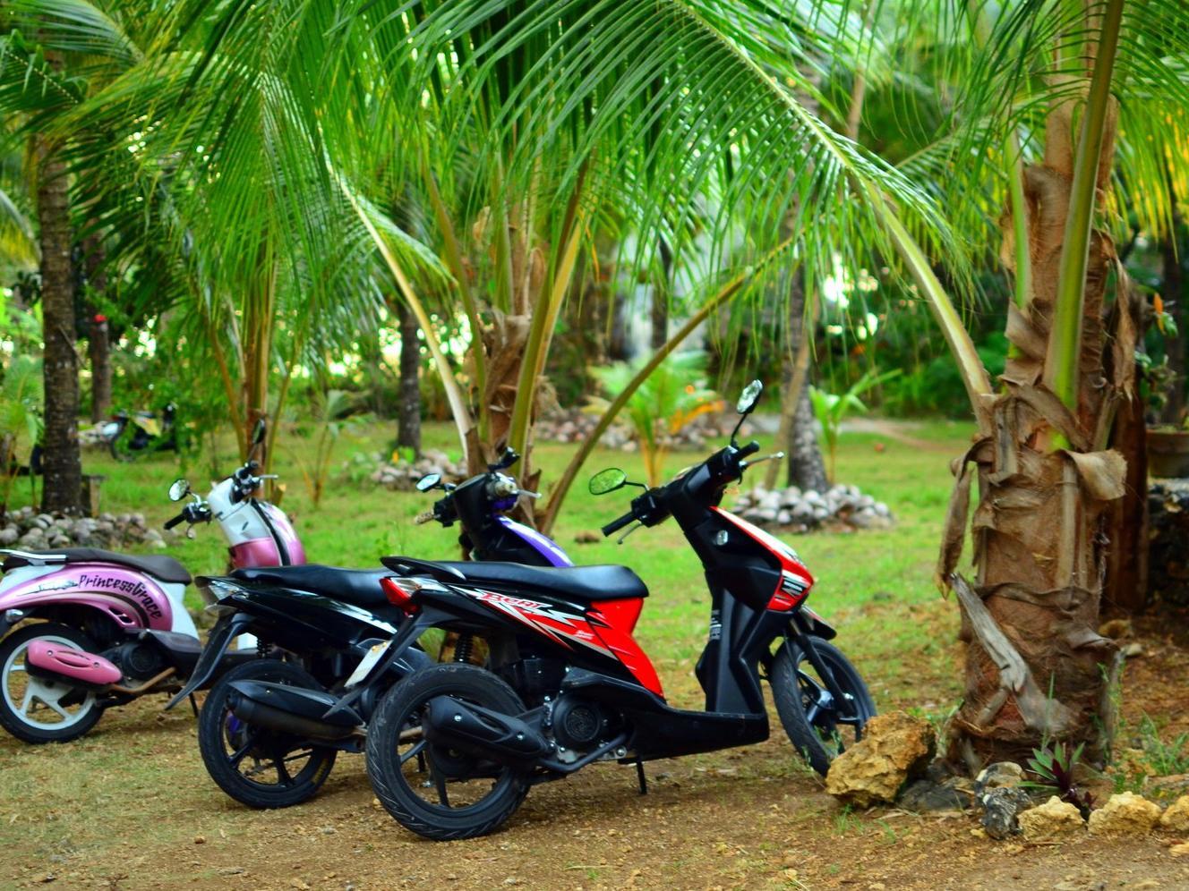 Toris Backpackers Paradise