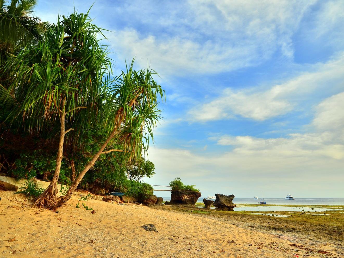 Toris Backpackers Paradise