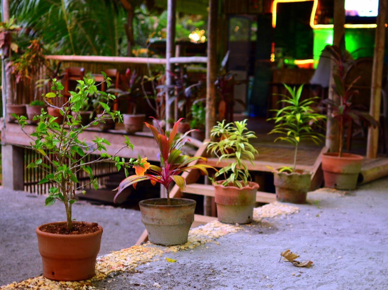 Toris Backpackers Paradise